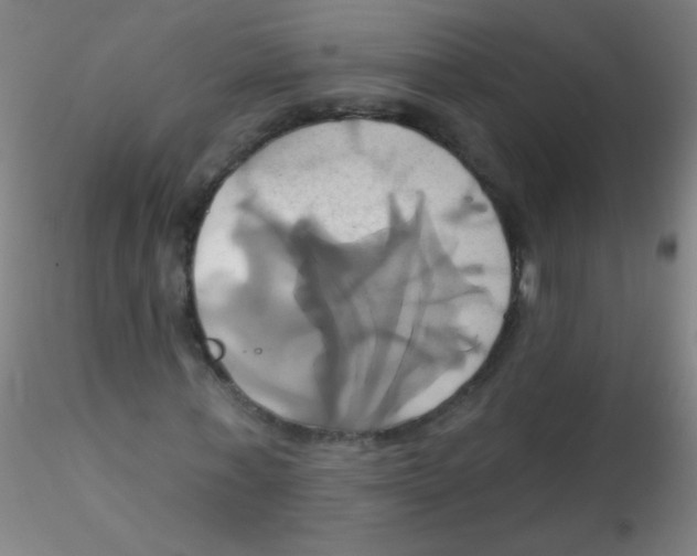 X0000115170771200911251333