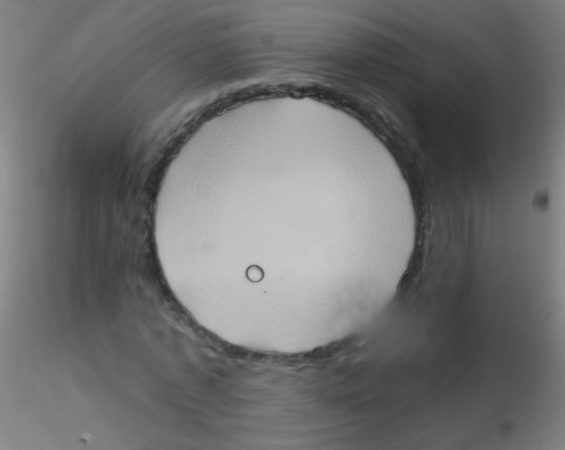 X0000115170773200911251333