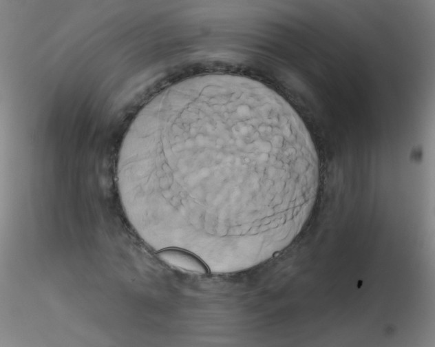 X0000115170774200911251333