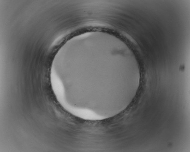 X0000115170775200911251333