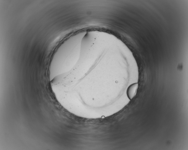 X0000115170776200911251333