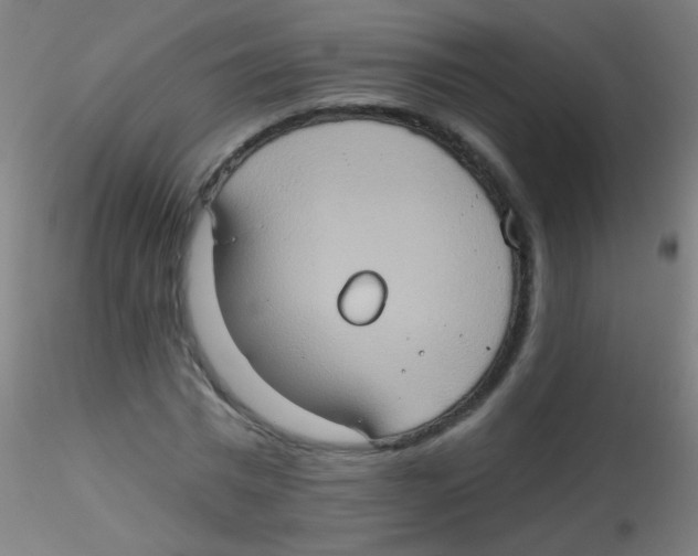 X0000115170777200911251333