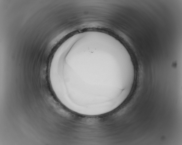 X0000115170778200911251333