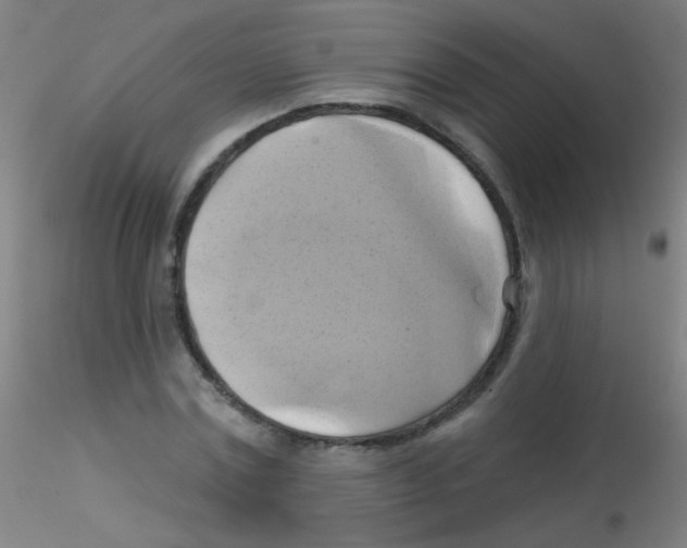 X0000115170779200911251333