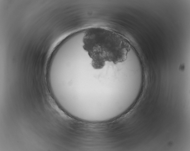 X0000115170780200911251333