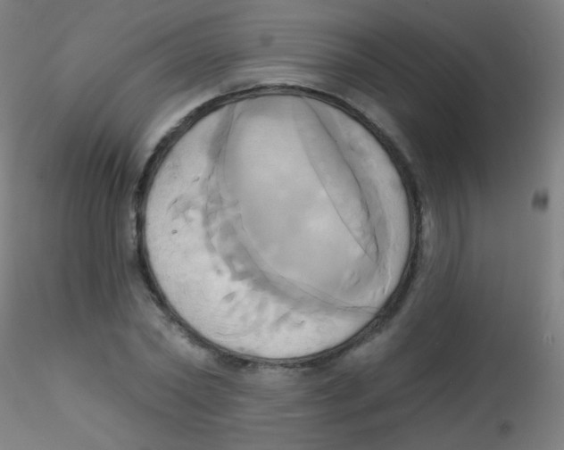 X0000115170782200911251333