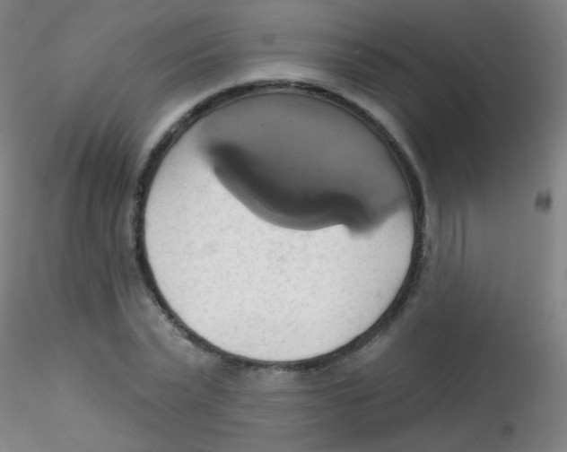 X0000115170783200911251333