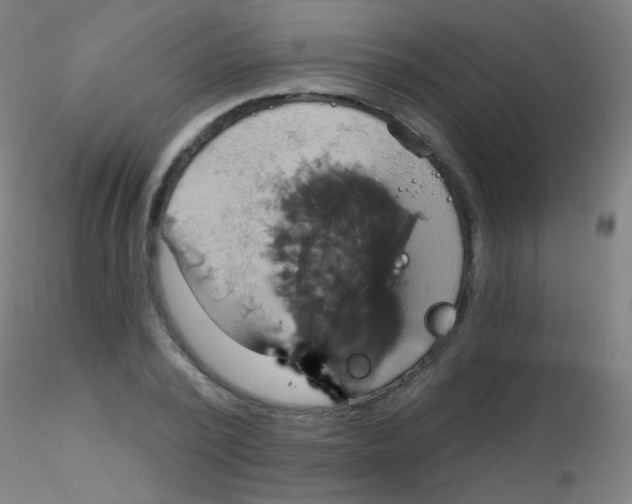 X0000115170784200911251333