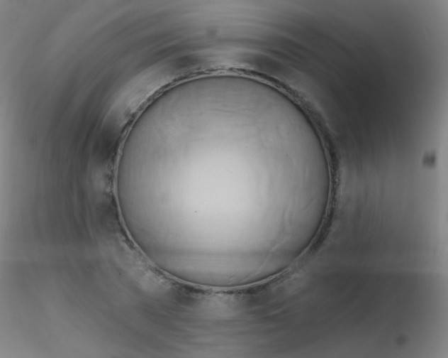 X0000115170785200911251333