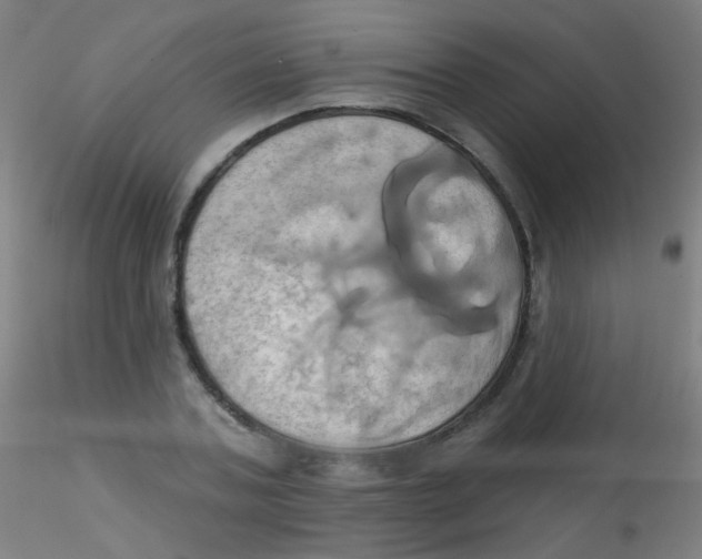 X0000115170787200911251333