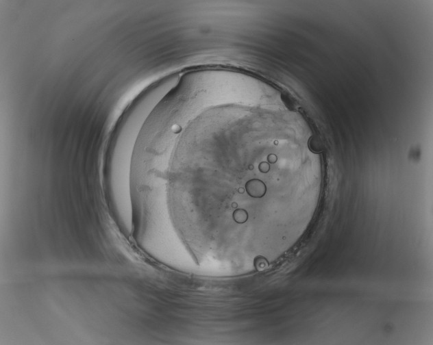 X0000115170788200911251333