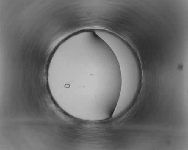 X0000115170789200911251333