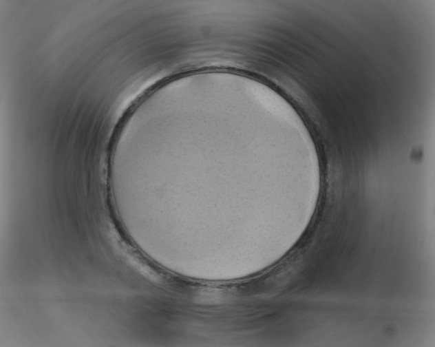 X0000115170790200911251333