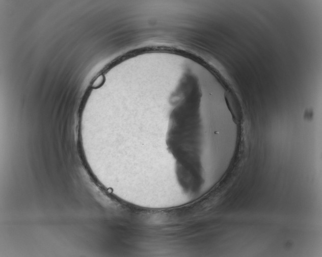 X0000115170791200911251333