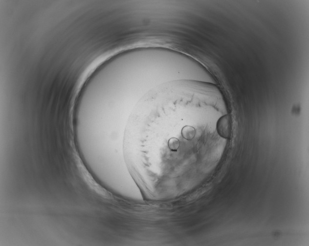 X0000115170792200911251333