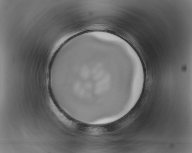 X0000115170795200911251333