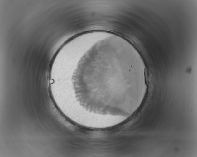 X0000115170796200911251333