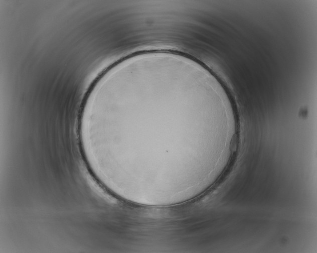 X0000115170797200911251333