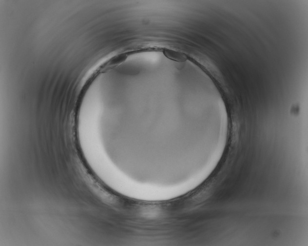 X0000115170798200911251333