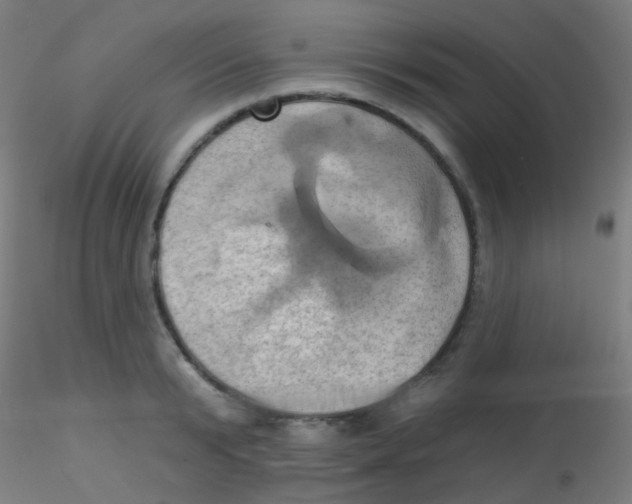 X0000115170799200911251333