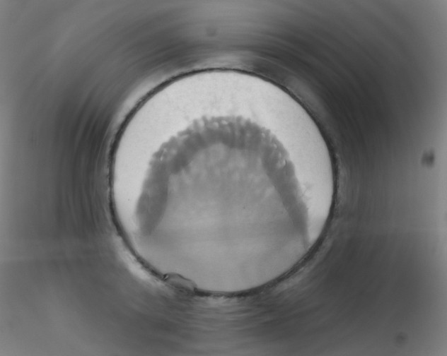 X0000115170800200911251333