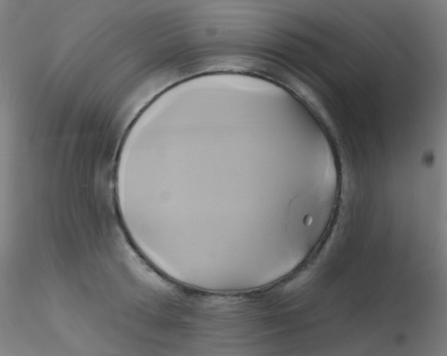 X0000115170802200911251333