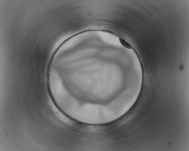 X0000115170803200911251333