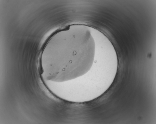 X0000115170804200911251333