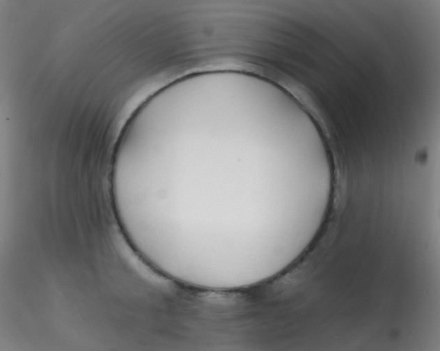 X0000115170805200911251332