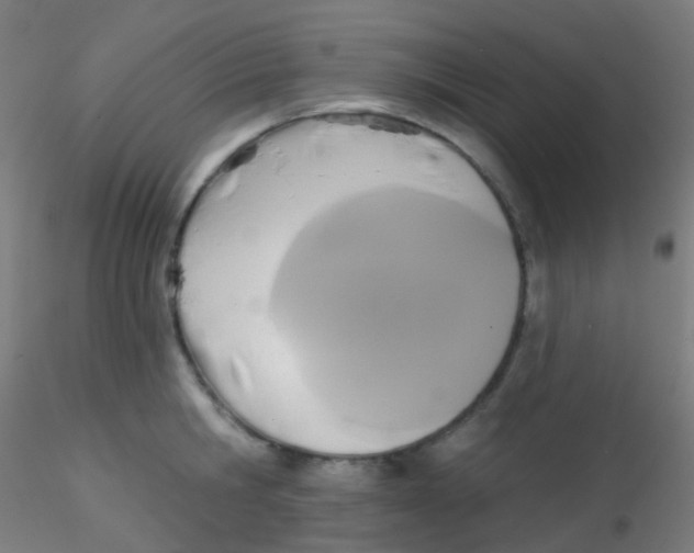 X0000115170806200911251332