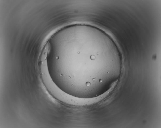 X0000115170807200911251332