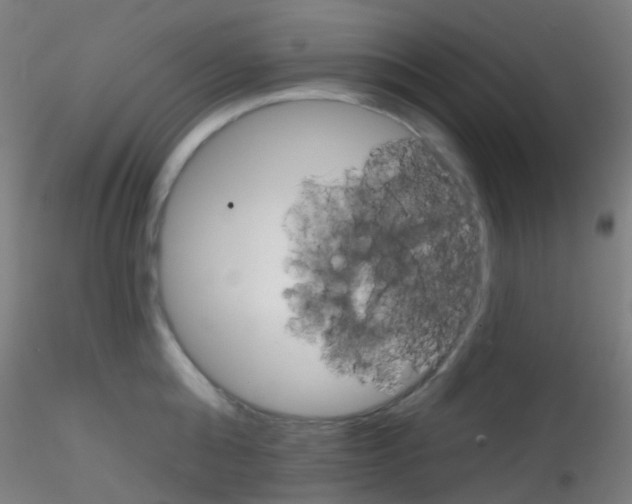 X0000115170808200911251332