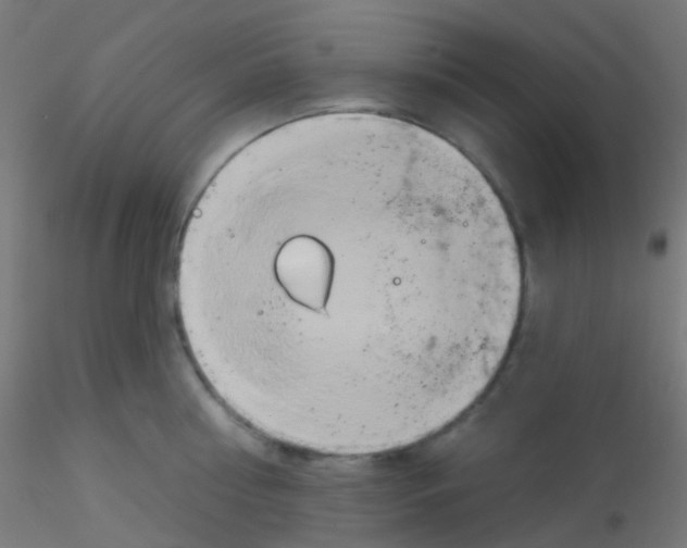 X0000115170810200911251332