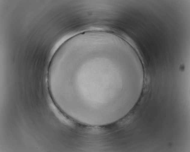 X0000115170811200911251332