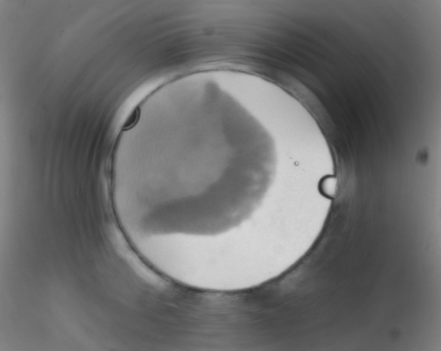 X0000115170812200911251332