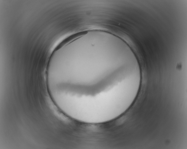 X0000115170814200911251332