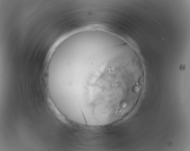 X0000115170816200911251332