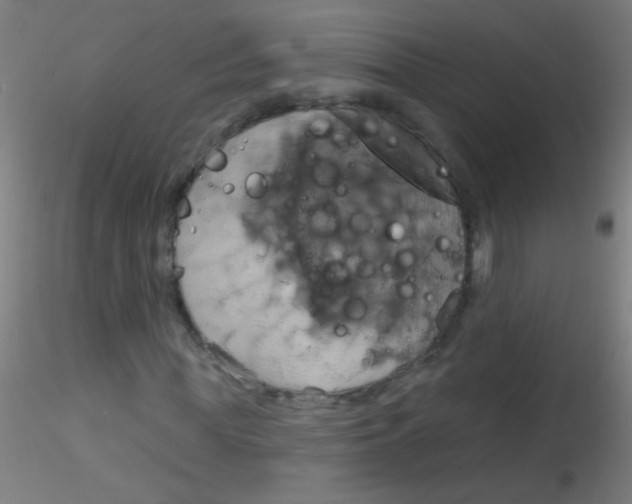 X0000115170819200911251332