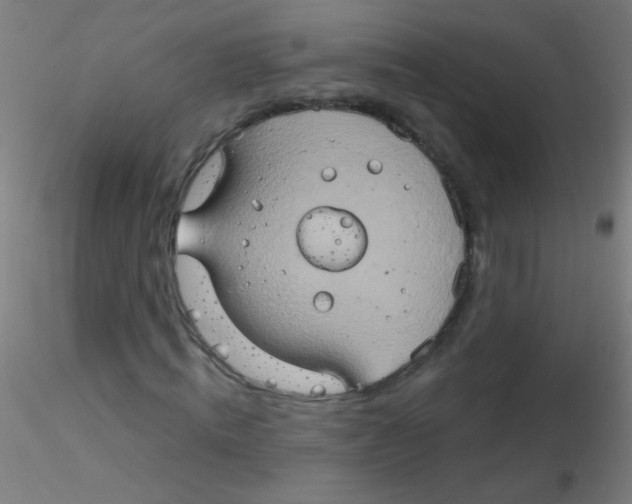 X0000115170820200911251332