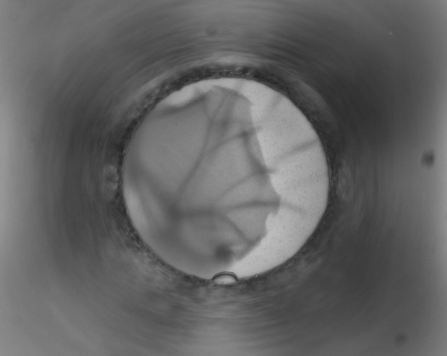 X0000115170821200911251332