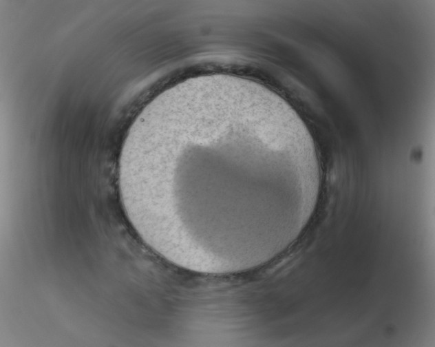 X0000115170822200911251332