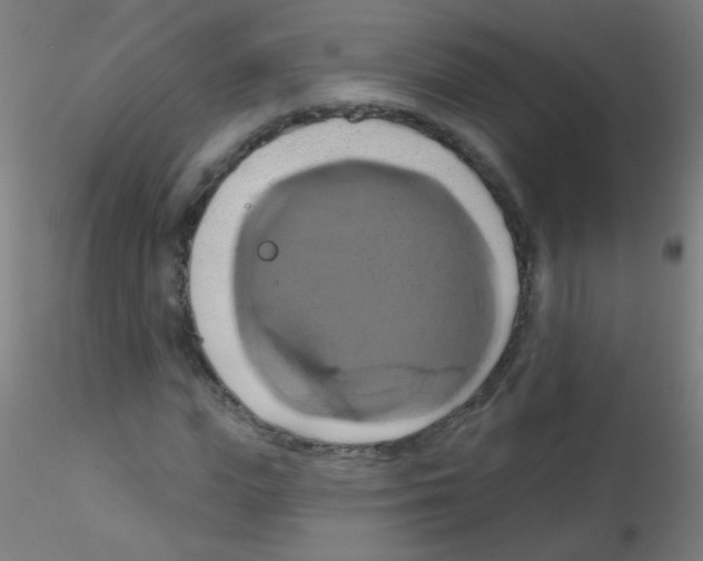 X0000115170823200911251332