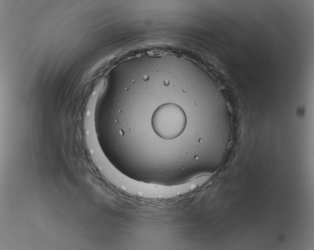 X0000115170824200911251332