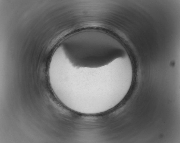 X0000115170825200911251332