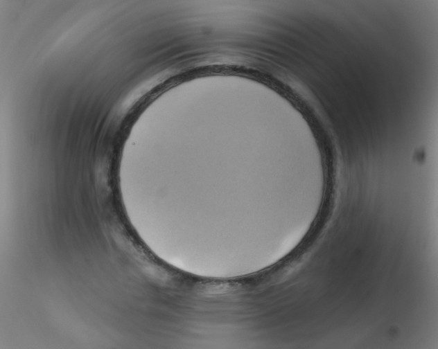 X0000115170826200911251332