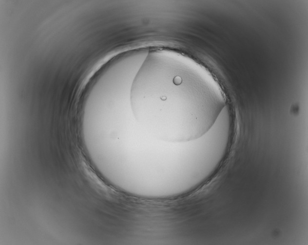 X0000115170828200911251332