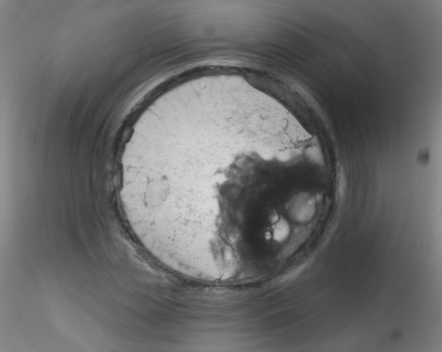 X0000115170829200911251332