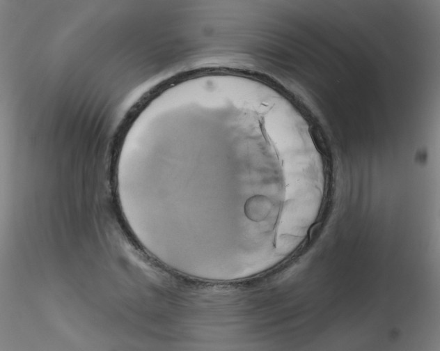 X0000115170830200911251332