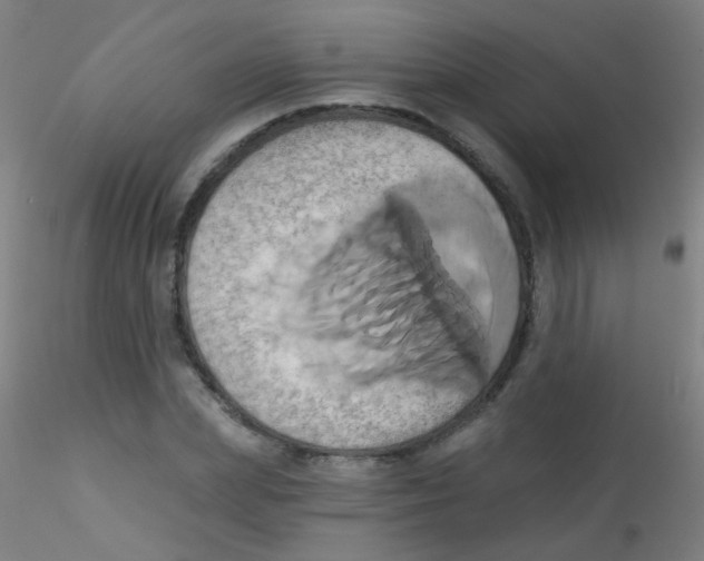 X0000115170831200911251332