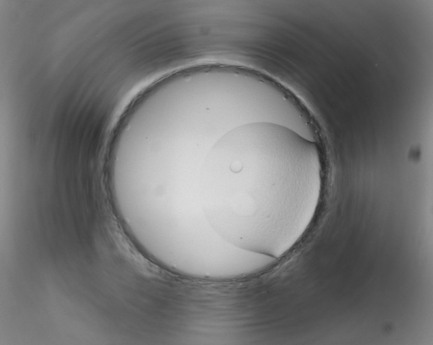 X0000115170832200911251332